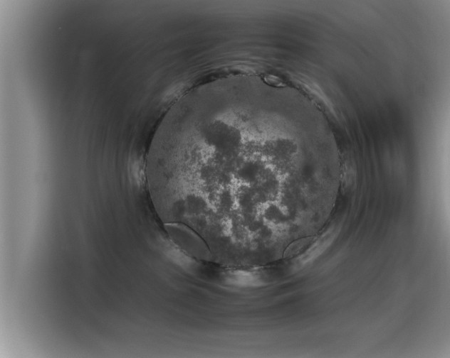 X0000115600285200911171134