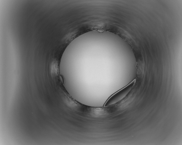 X0000115600287200911171134