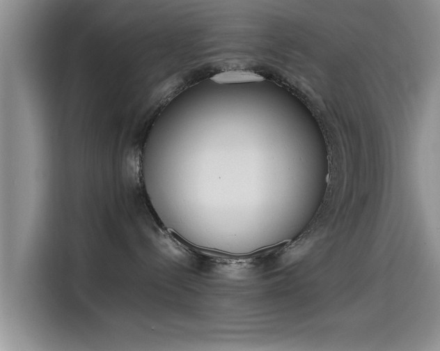 X0000115600288200911171134