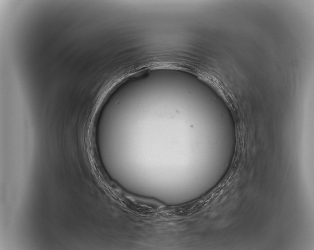 X0000115600289200911171134