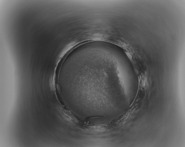 X0000115600292200911171134