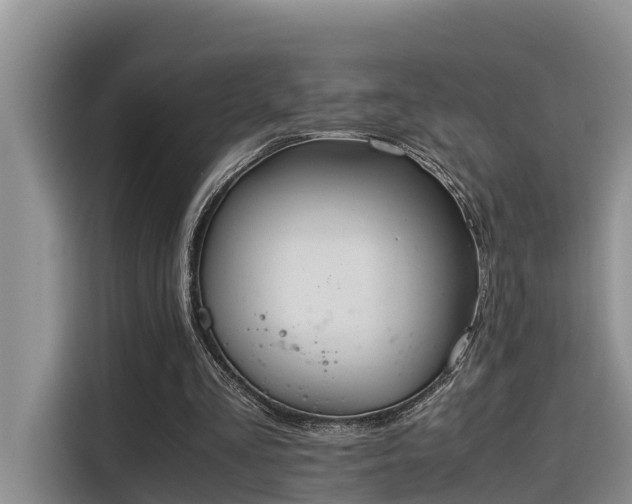 X0000115600293200911171134