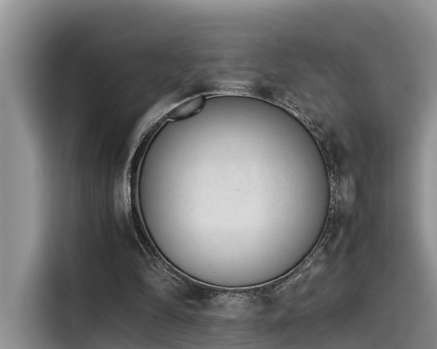 X0000115600294200911171134