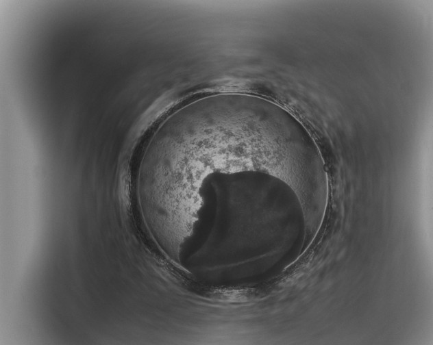 X0000115600295200911171133