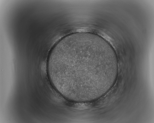 X0000115600297200911171133