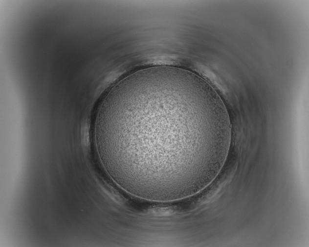 X0000115600299200911171133