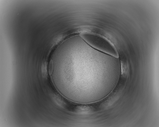 X0000115600300200911171133