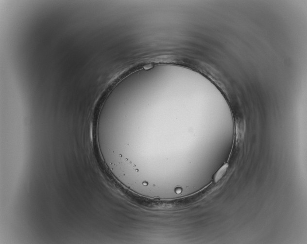 X0000115600301200911171133