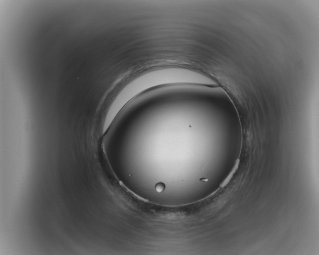 X0000115600304200911171133