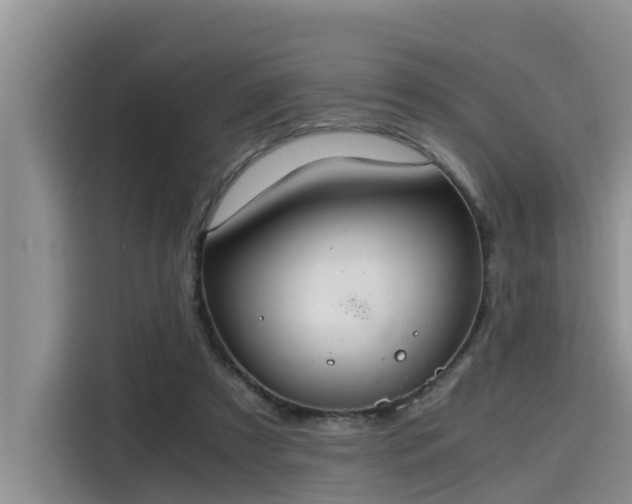 X0000115600305200911171133