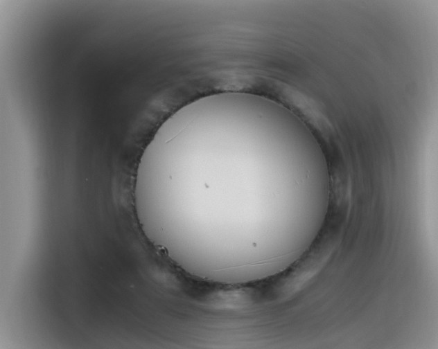 X0000115600307200911171133