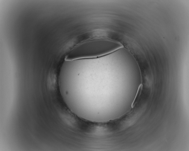 X0000115600308200911171133