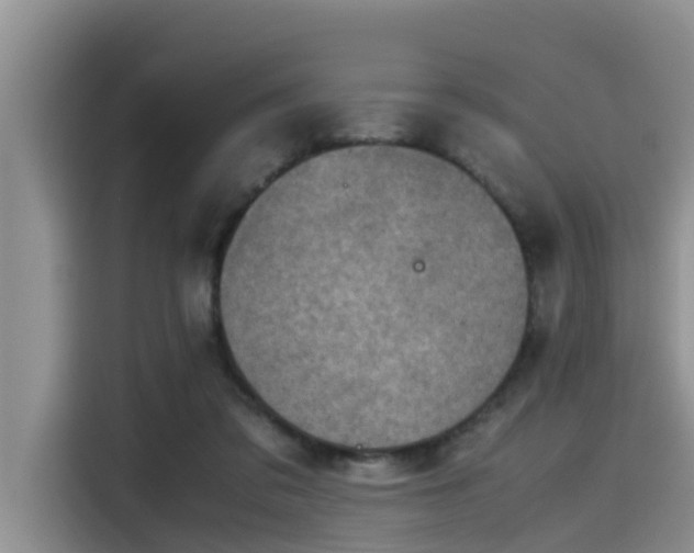 X0000115600309200911171133