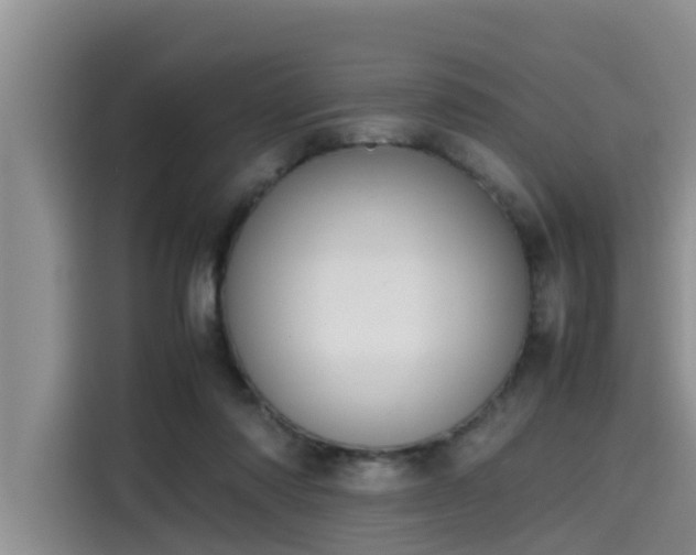 X0000115600310200911171133