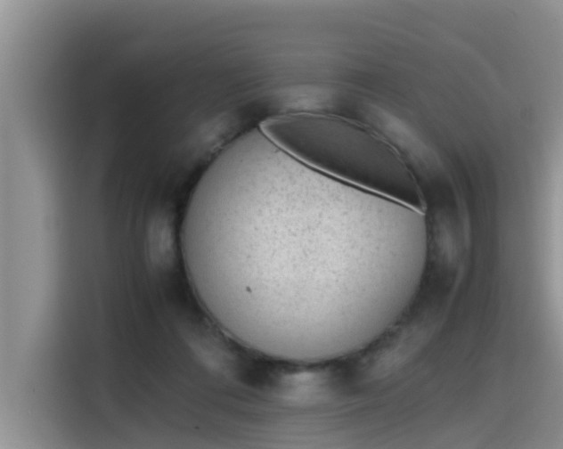 X0000115600312200911171133