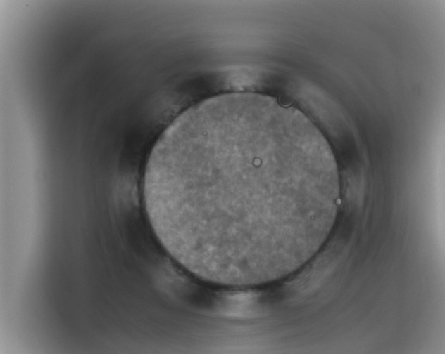 X0000115600313200911171133