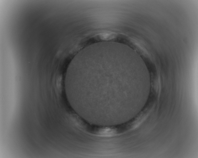 X0000115600319200911171133