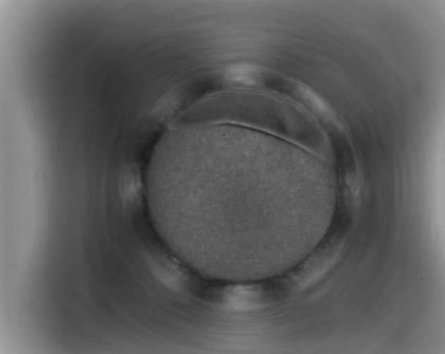 X0000115600320200911171133