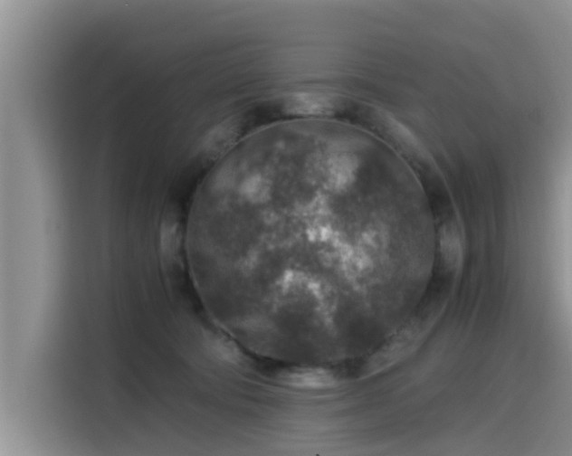 X0000115600322200911171133