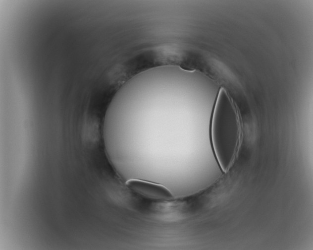 X0000115600323200911171133