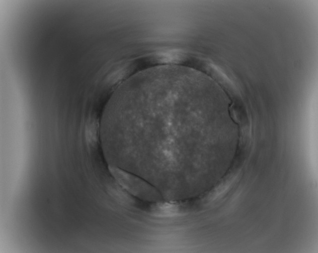 X0000115600325200911171133