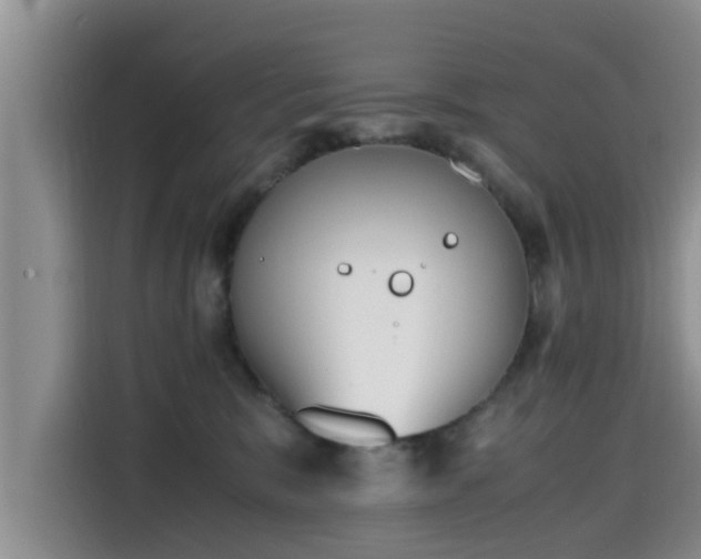 X0000115600327200911171133