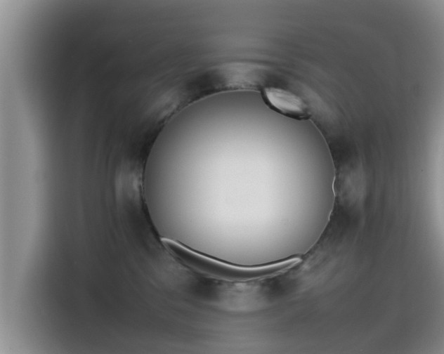 X0000115600329200911171133