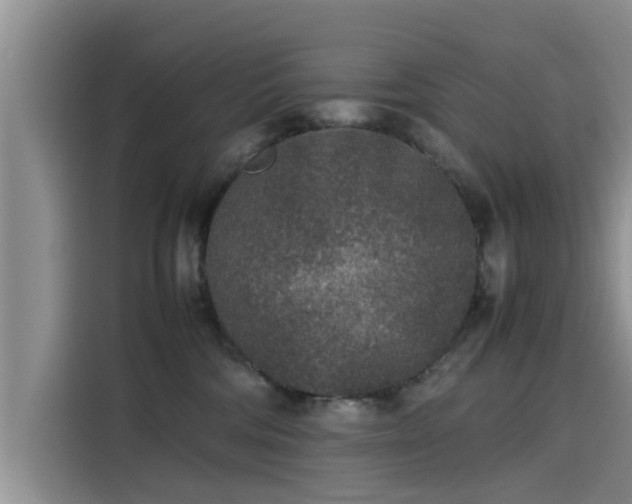 X0000115600330200911171133