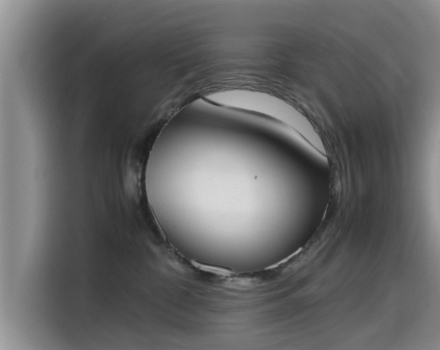 X0000115600332200911171133