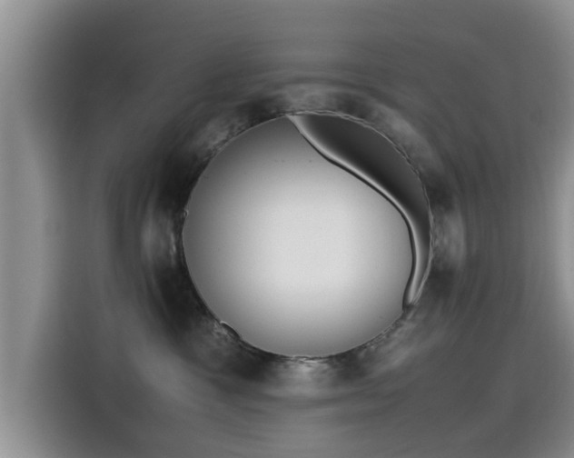 X0000115600333200911171133