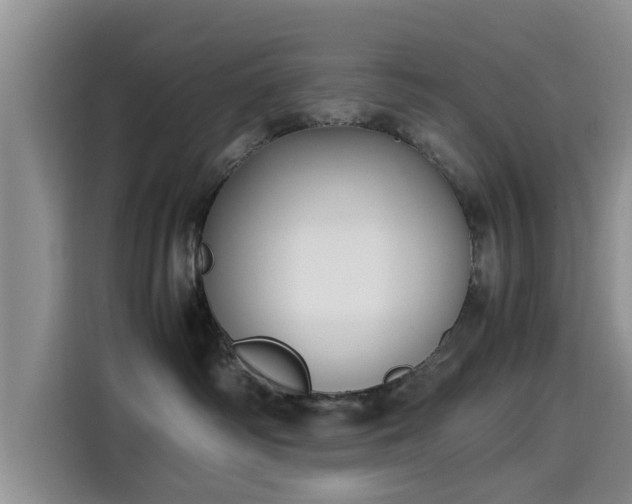 X0000115600334200911171133