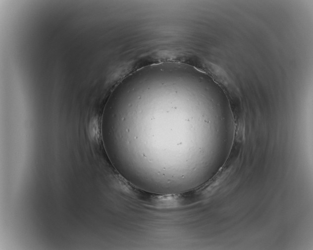 X0000115600335200911171133