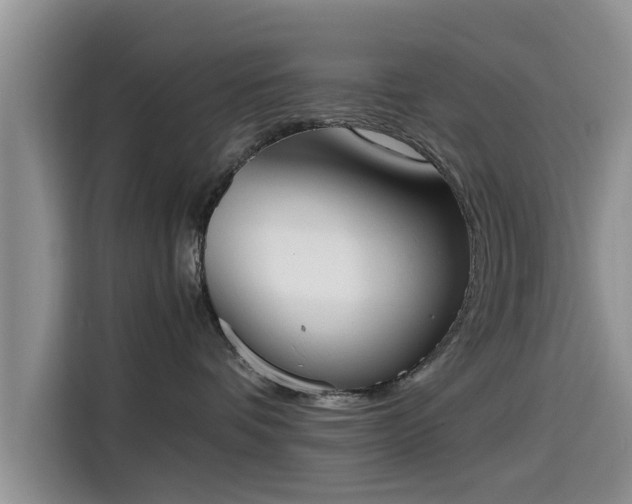 X0000115600336200911171133