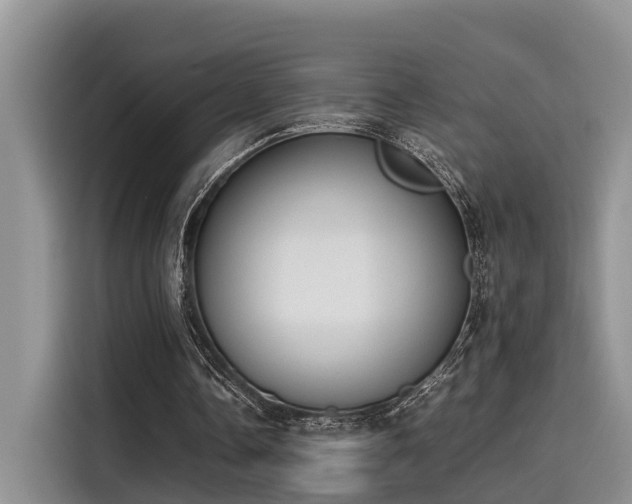 X0000115600338200911171132