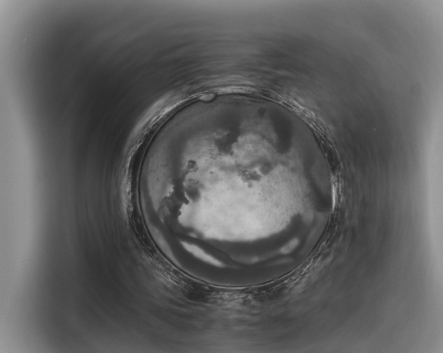 X0000115600339200911171132