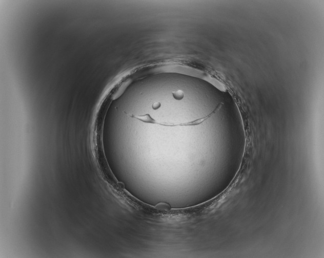 X0000115600342200911171132