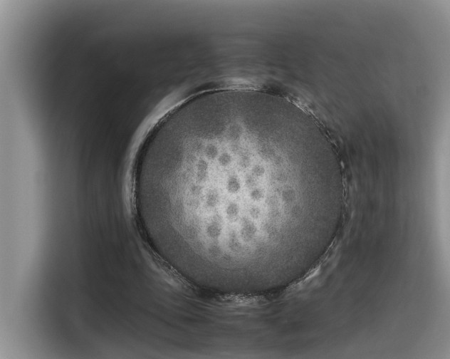 X0000115600343200911171132