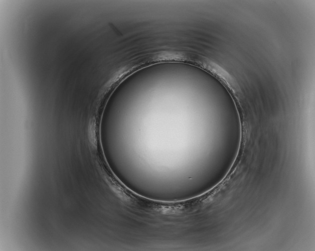 X0000115600345200911171132