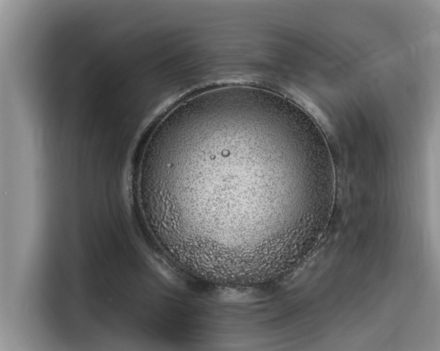 X0000115600346200911171132