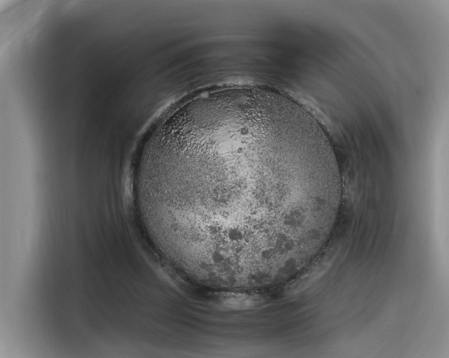 X0000115600347200911171132