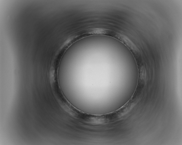 X0000115600351200911171133