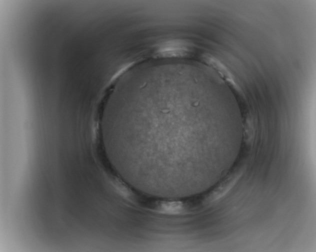 X0000115600355200911171133