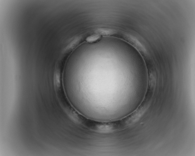 X0000115600358200911171133