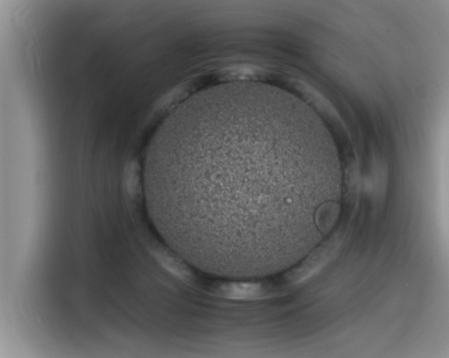 X0000115600361200911171133