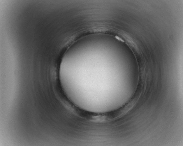 X0000115600362200911171133