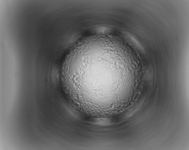 X0000115600363200911171133