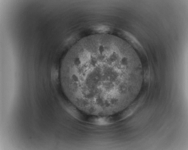 X0000115600365200911171133