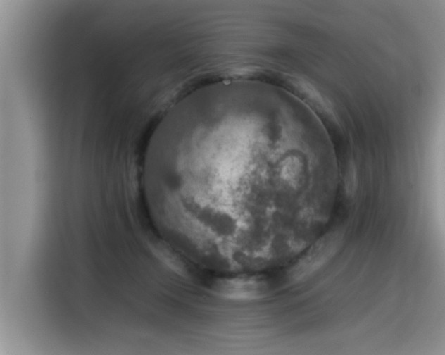 X0000115600366200911171133