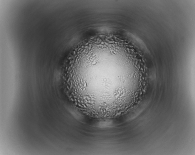 X0000115600369200911171133