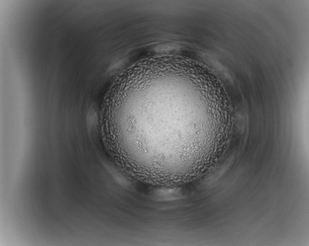 X0000115600375200911171133